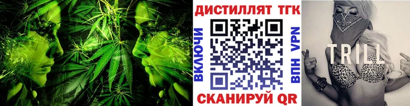 ТГК концентрат  Салаир 