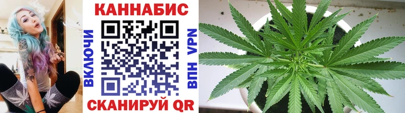 shop как зайти  Салаир  Каннабис сатива 